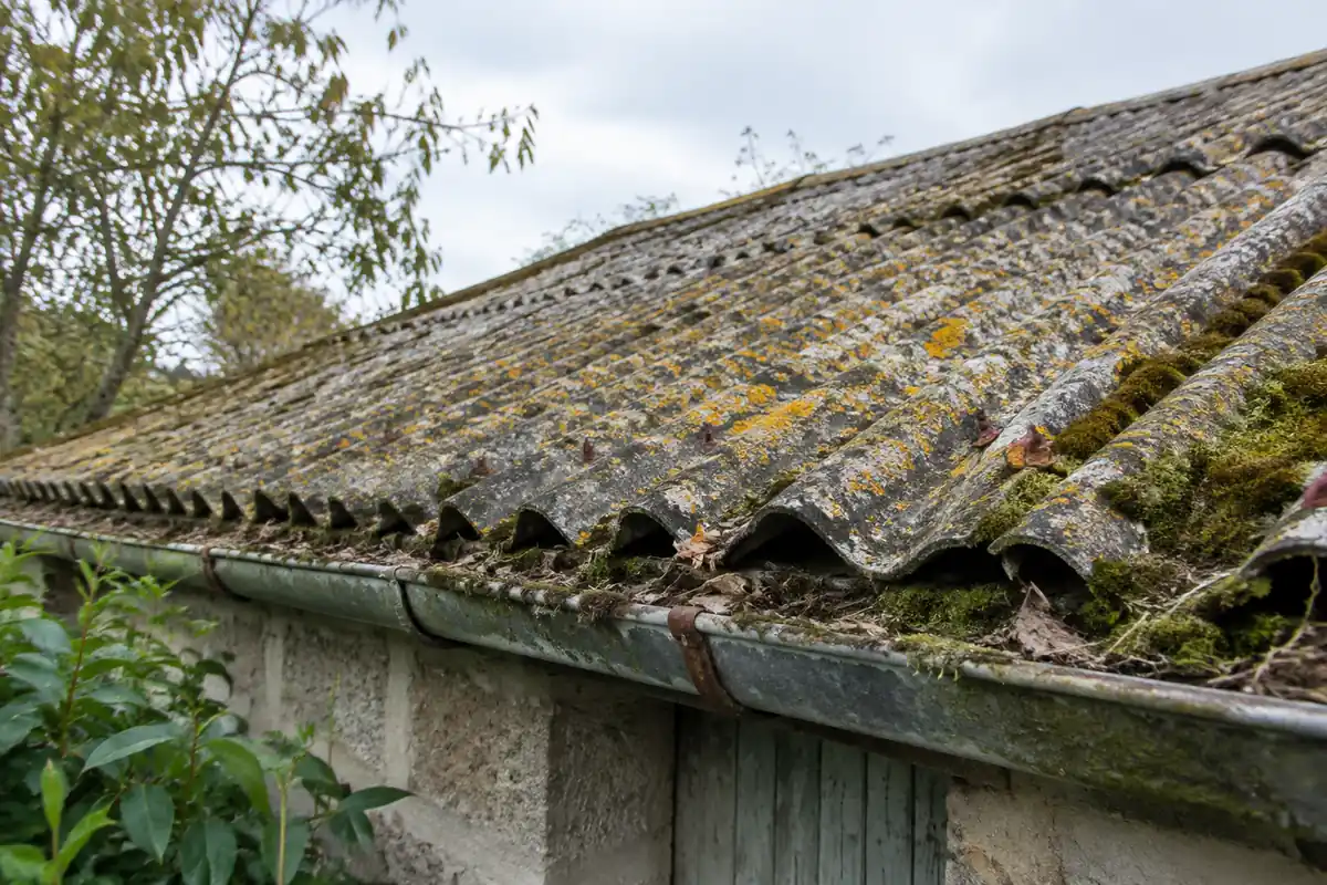 Toiture de garage en plaques ondulées de fibrociment couvertes de lichens
